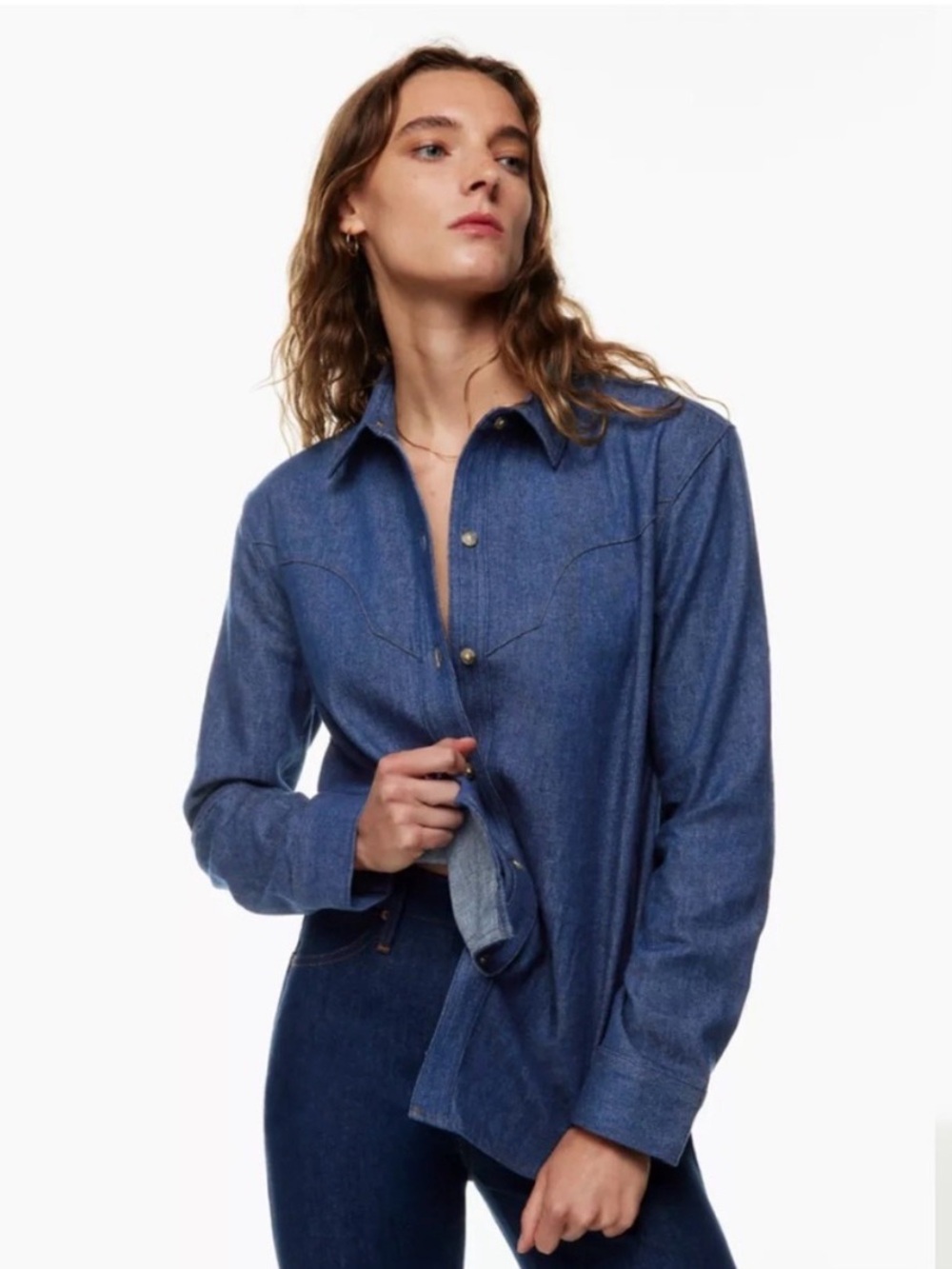Denim Forum The Cowgirl Western Shirt Size XS Aritzia #103665